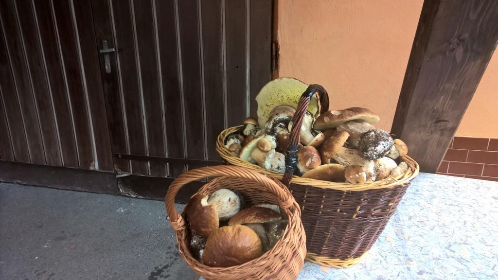 Penzion Jizerka Jablonec nad Nisou Bagian luar foto